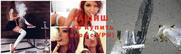 прущие грибы Белокуриха