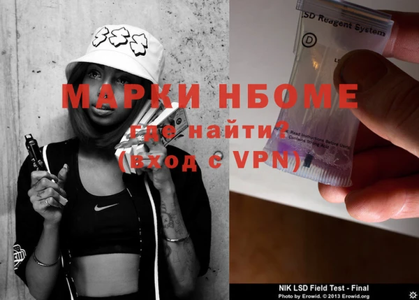 прущие грибы Белокуриха