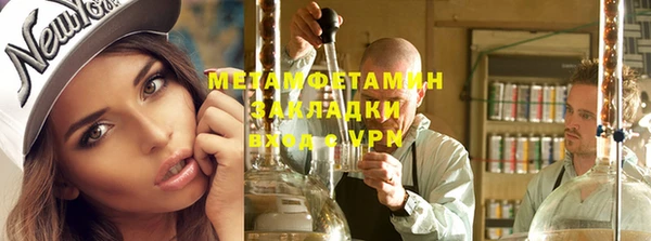 прущие грибы Белокуриха