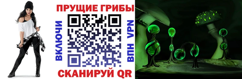 гидра ONION Бутурлиновка Псилоцибиновые грибы Psilocybe наркота
